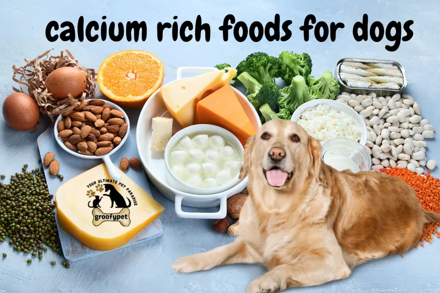 calcium rich foods for dogs