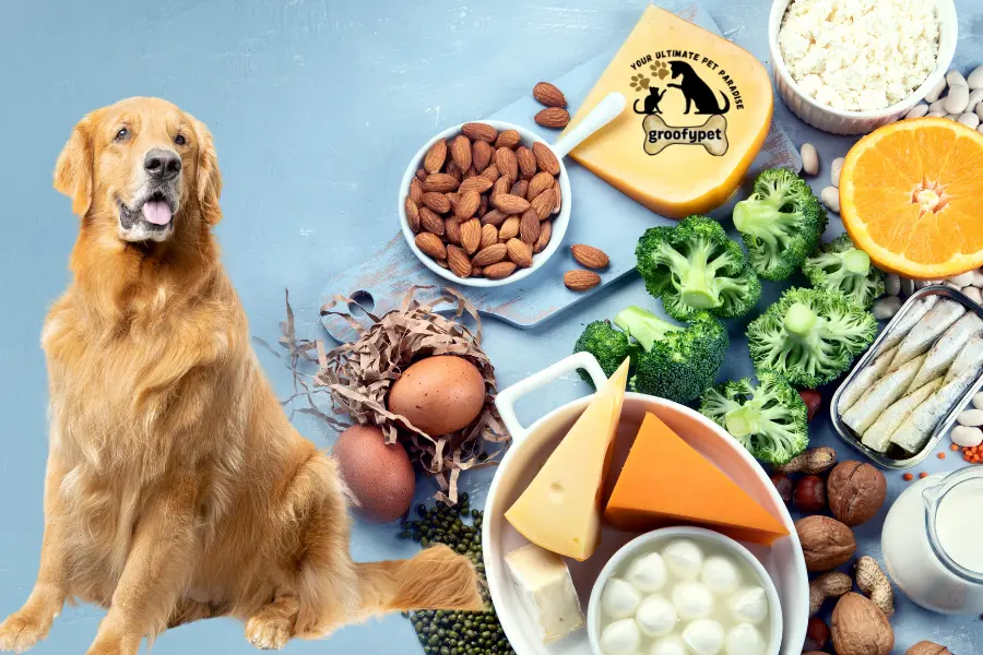 calcium rich foods for dogs
