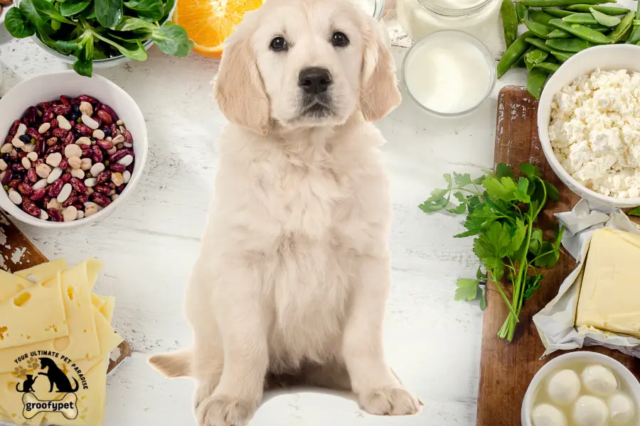 calcium rich foods for dogs