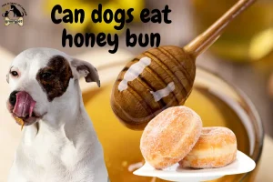 Can dogs eat honey bun