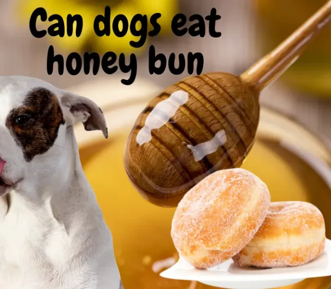 Can Dogs Eat Honey Buns? Dangerous Delight!