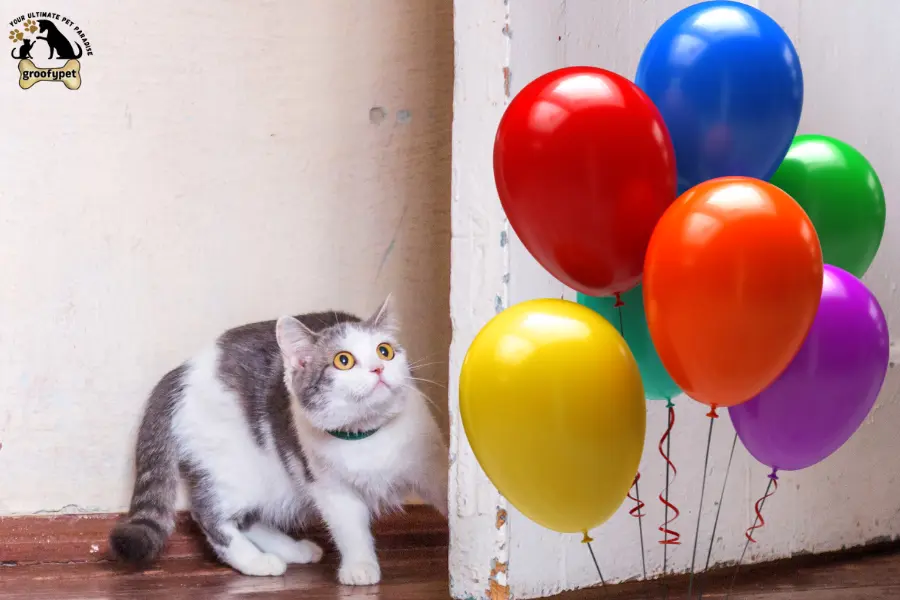 why are cats scared of balloons