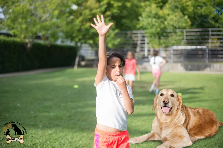 do dog whistles hurt dogs