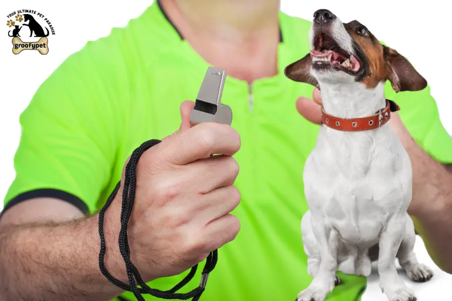 do dog whistles hurt dogs