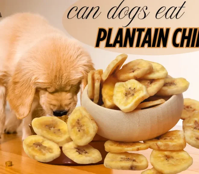 Can Dogs Eat Plantain Chips? The Bold Truth Behind This Crunchy Treat!