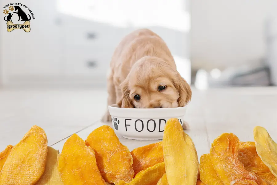 can dogs eat plantain chips