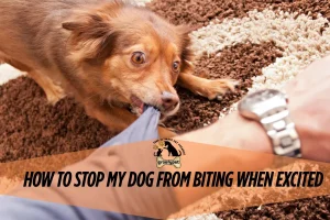 how to stop my dog from biting when excited