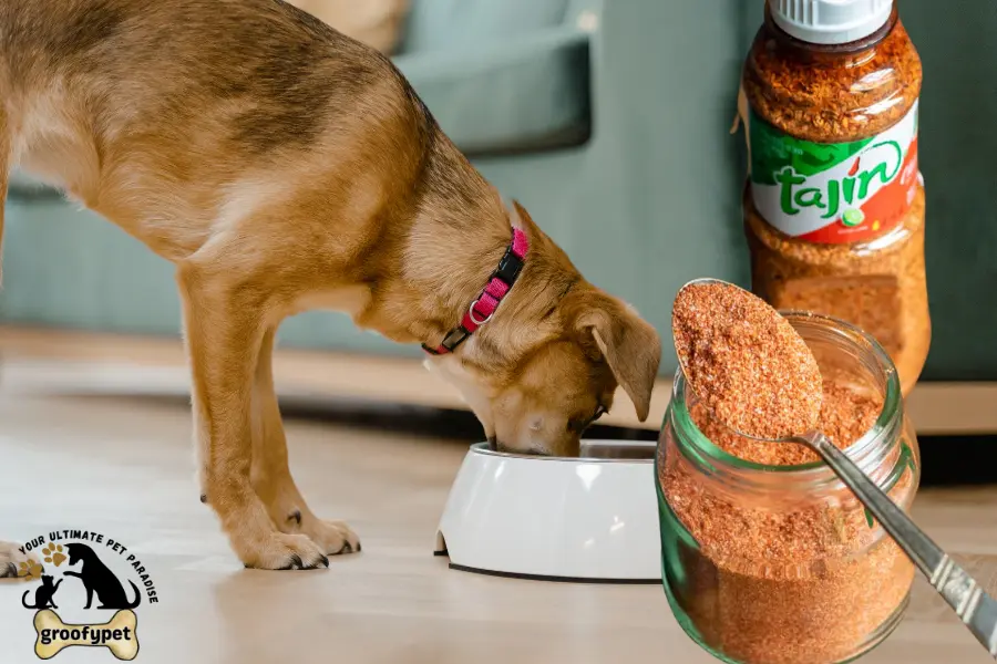can dogs eat tajin