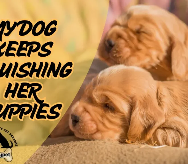 My Dog Keeps Squishing Her Puppies – How to Stop It!