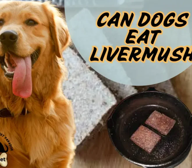 Can Dogs Eat Livermush? Uncover the Truth Before You Share a Bite!