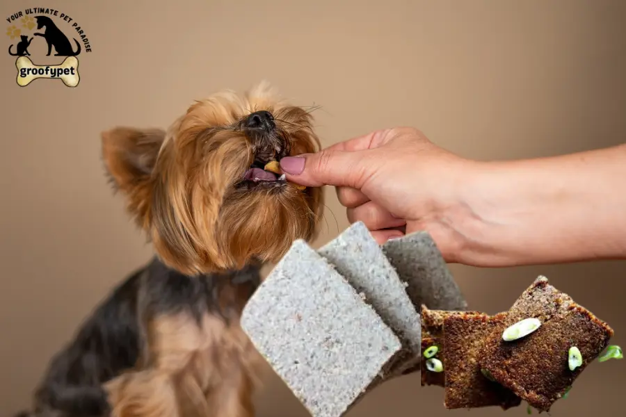 can dogs eat plantain chips