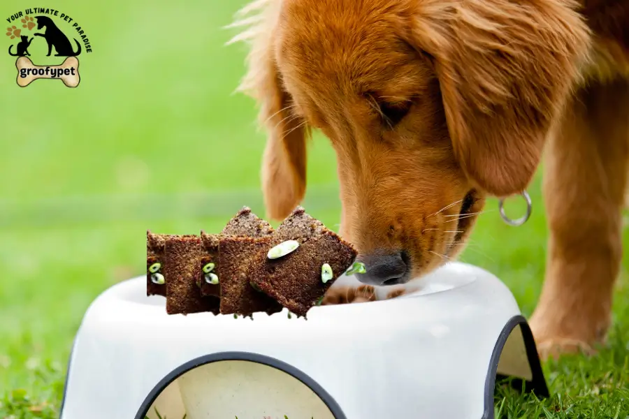 can dogs eat livermush