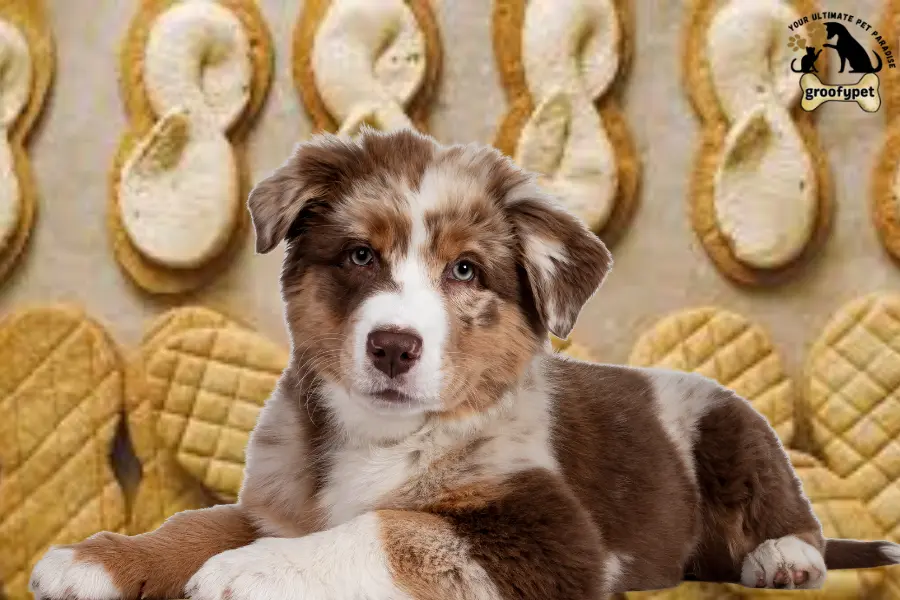 can dogs eat nutter butters