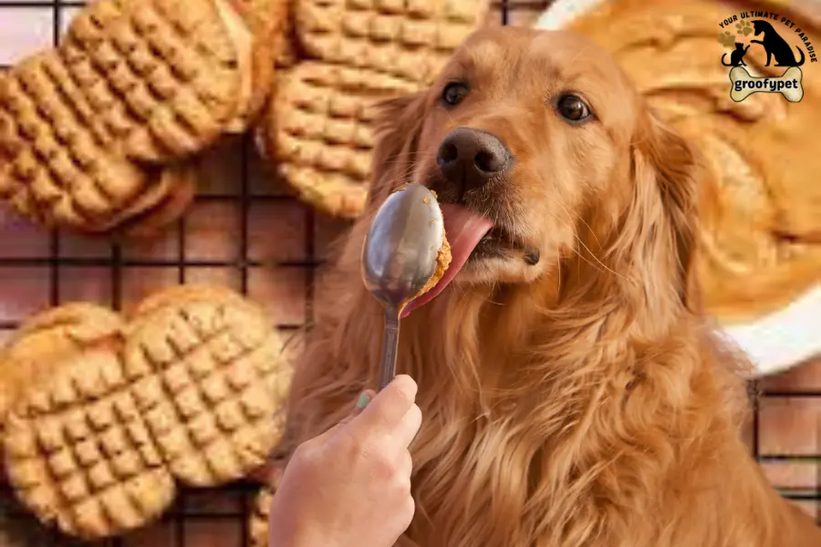 can dogs eat nutter butters