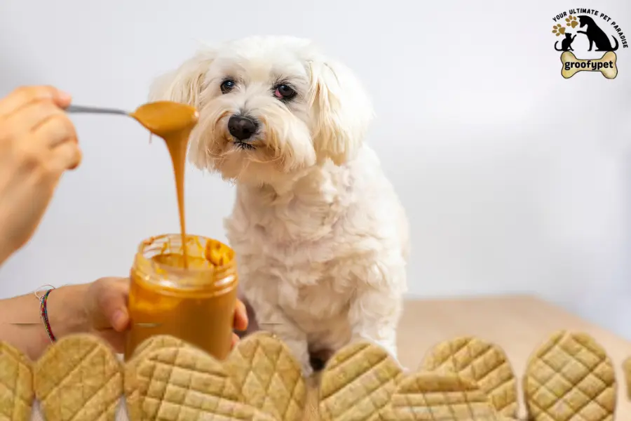 can dogs eat nutter butters