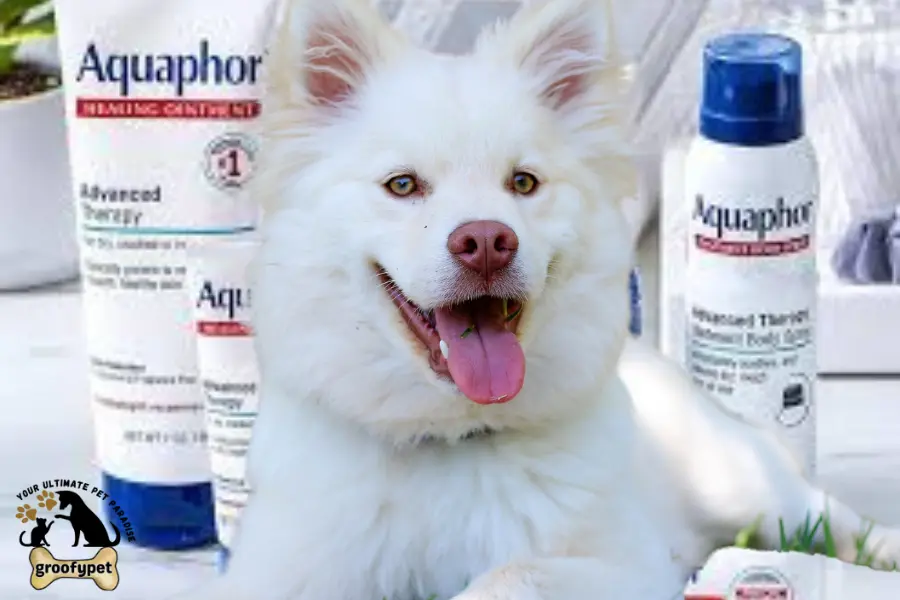 is aquaphor safe for dogs