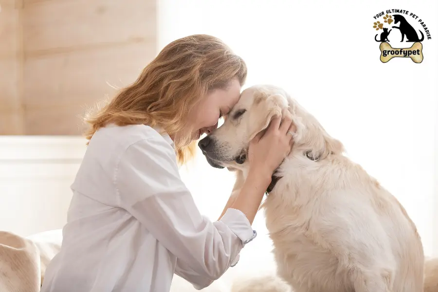 is aquaphor safe for dogs