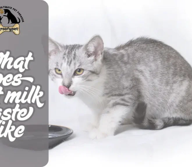 What Does Cat Milk Taste Like? Surprising Facts Inside!