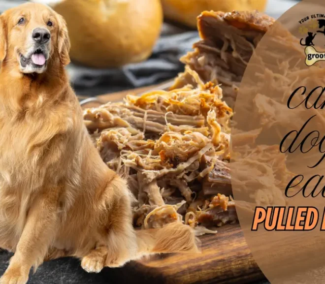Can Dogs Eat Pulled Pork? Is It Healthy Treat or Harmful Choice!