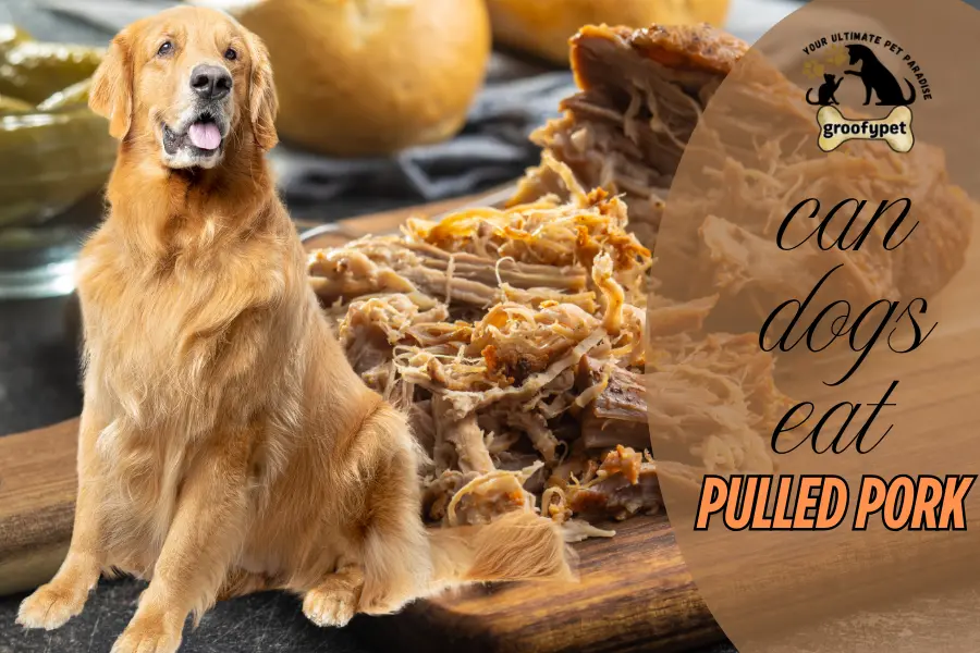 can dogs eat pulled pork