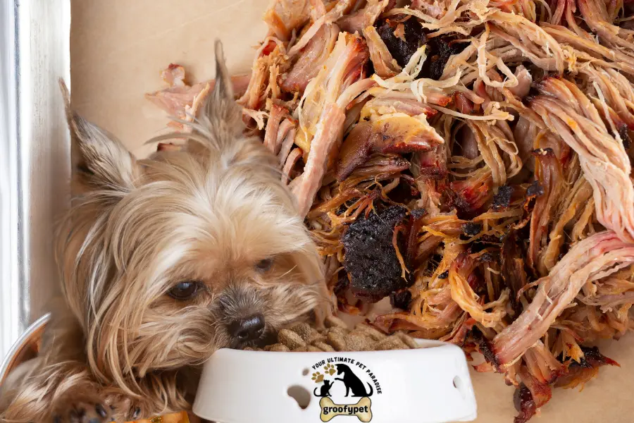 can dogs eat pulled pork