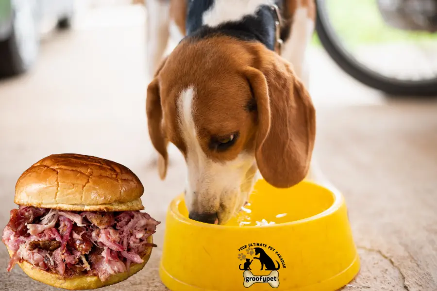 can dogs eat pulled pork