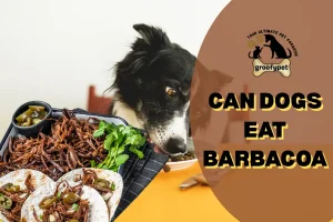 can dogs eat barbacoa