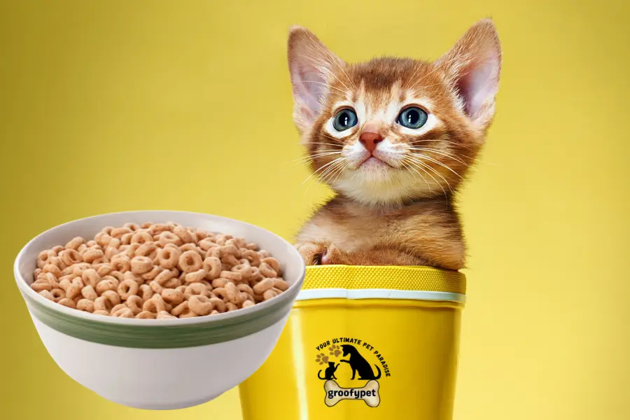 can cats eat cheerios