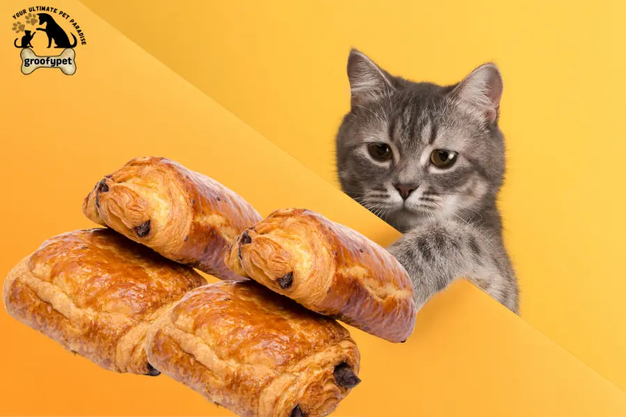 Can cats eat croissants