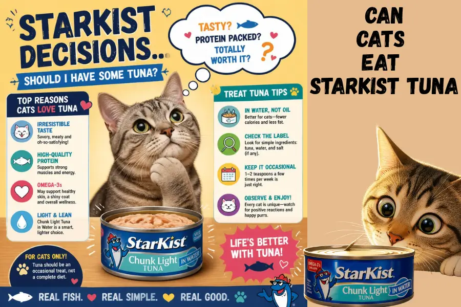 Can cats eat Starkist tuna