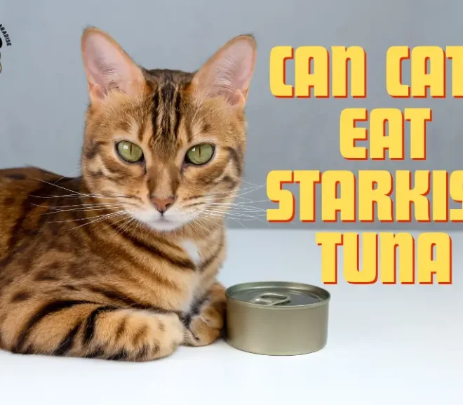 Can cats eat Starkist tuna? Discover the Hidden Risks Now!