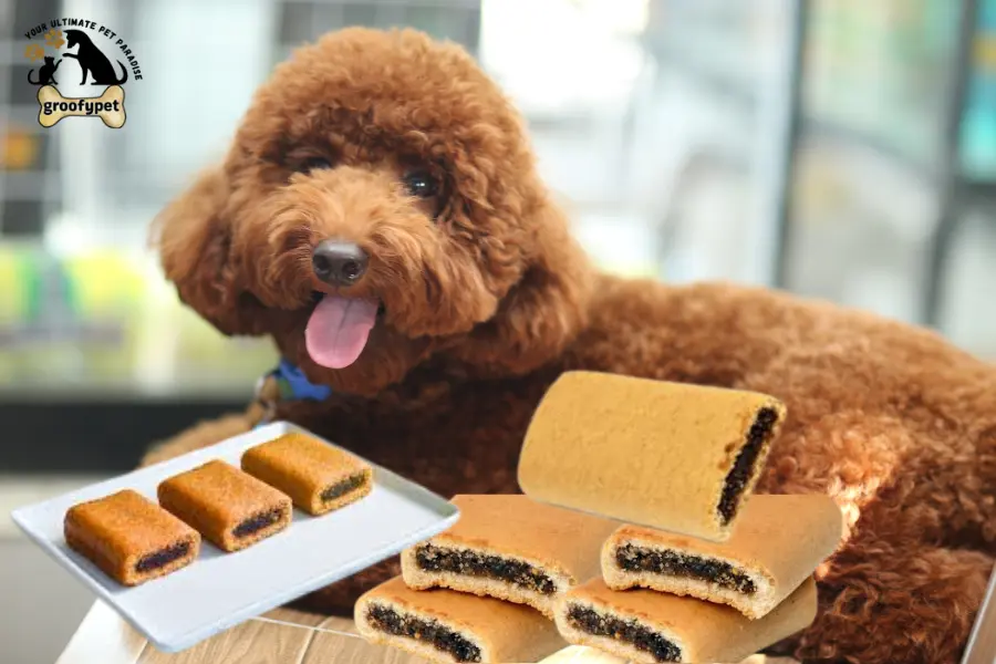 can dogs eat fig newtons