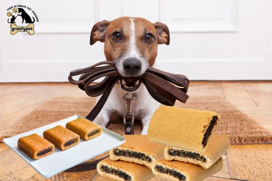 can dogs eat fig newtons