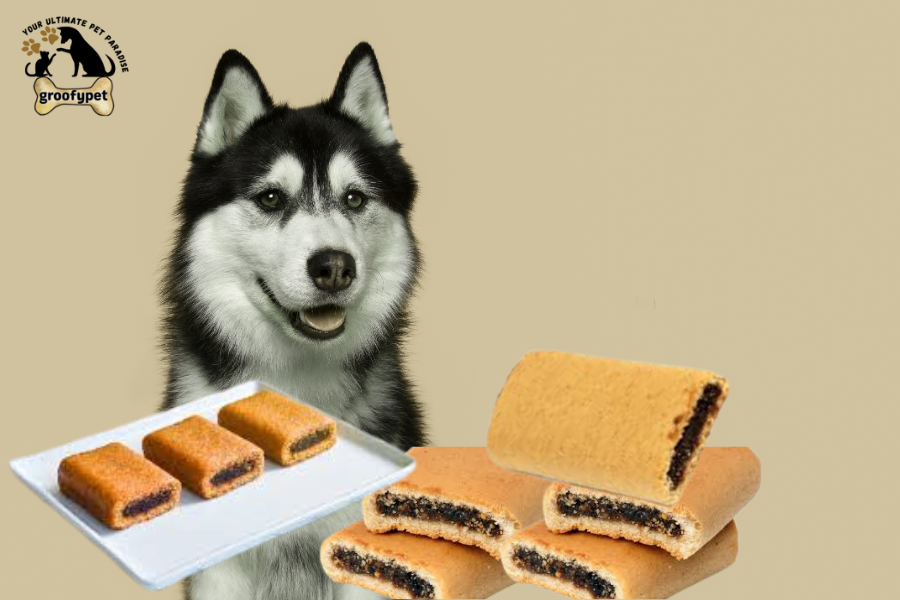 can dogs eat fig newtons