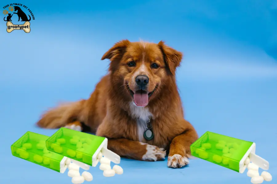 can dogs eat tic tacs