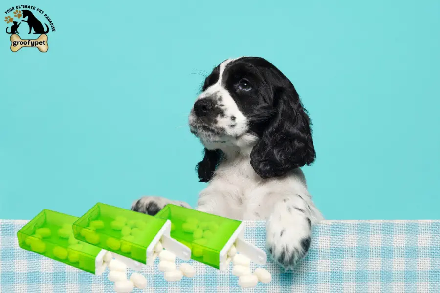 can dogs eat tic tacs