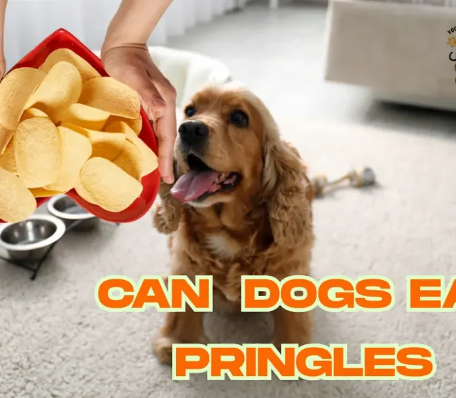 Can Dogs Eat Pringles? Learn How to Keep Them Healthy!
