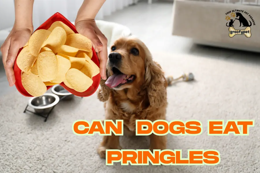 can dogs eat pringles