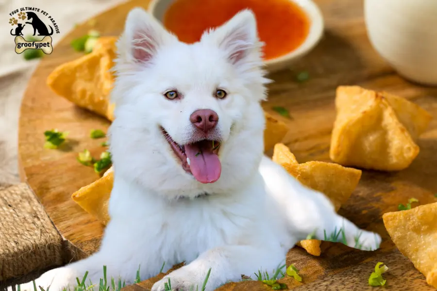 can dogs eat crab rangoon