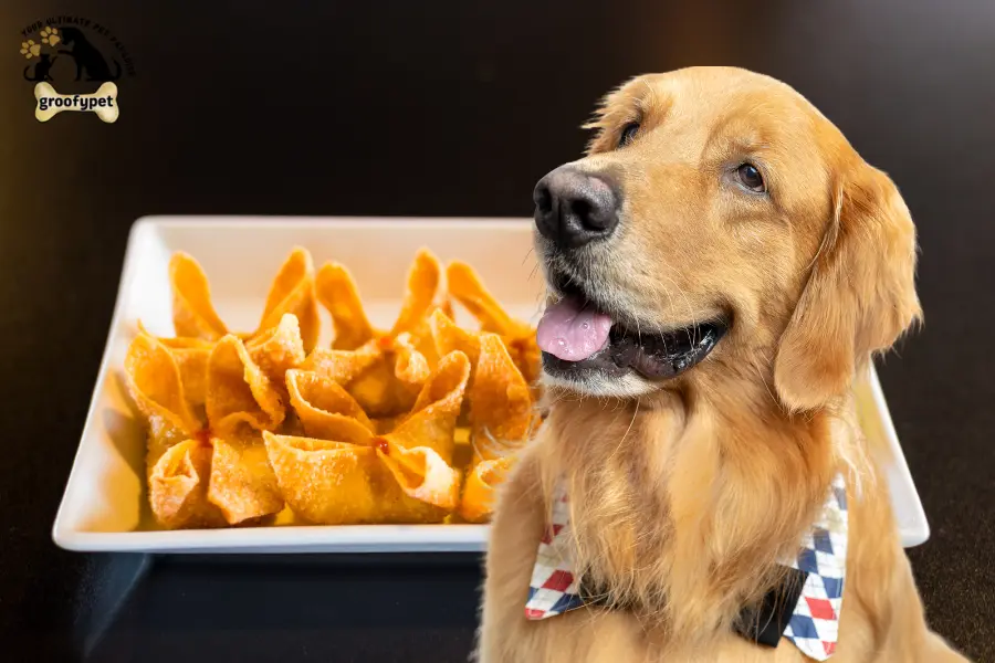 can dogs eat crab rangoon