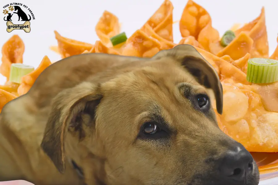 can dogs eat crab rangoon