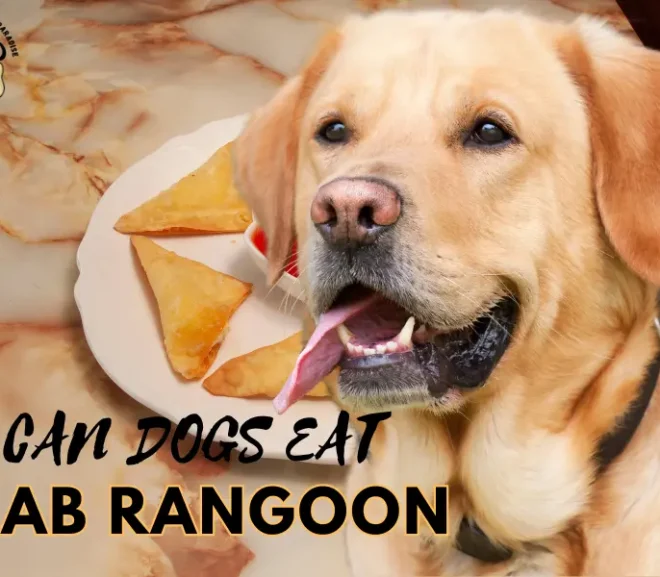 Can Dogs Eat Crab Rangoon? Save Your Pup from a Risky Treat!