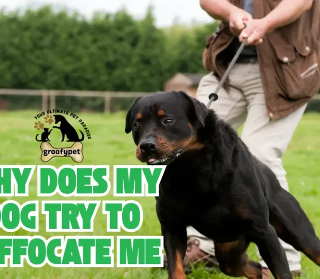 Why Does My Dog Try to Suffocate Me? Protect Yourself With These Tips!