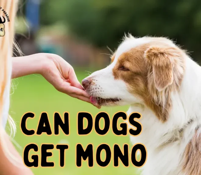 Can Dogs Get Mono? Stop the Spread Before It Hurts Your Pup!