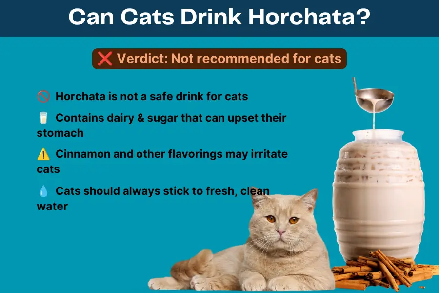 Can Cats Drink Horchata