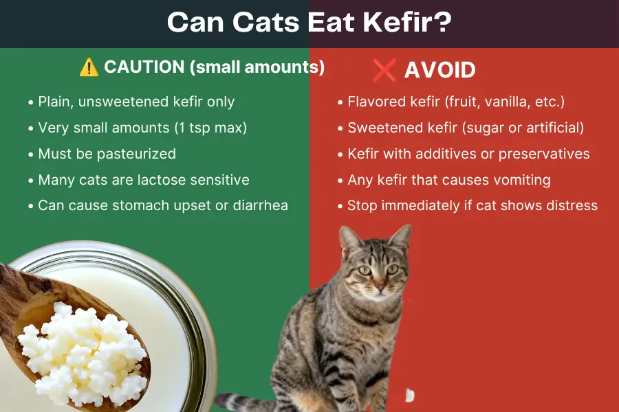 Can Cats Eat Kefir
