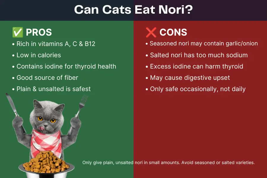 Can Cats Eat Nori