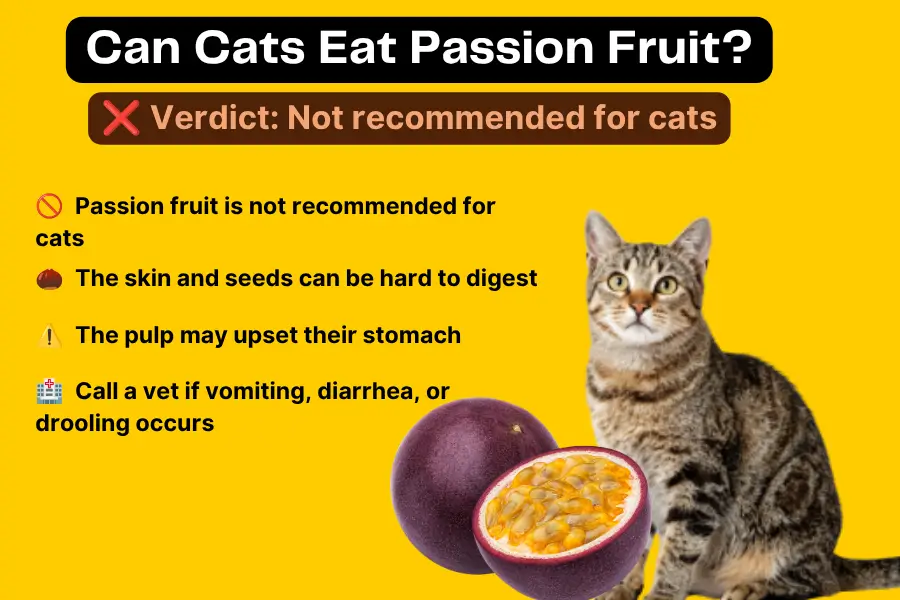 Can Cats Eat Passion Fruit