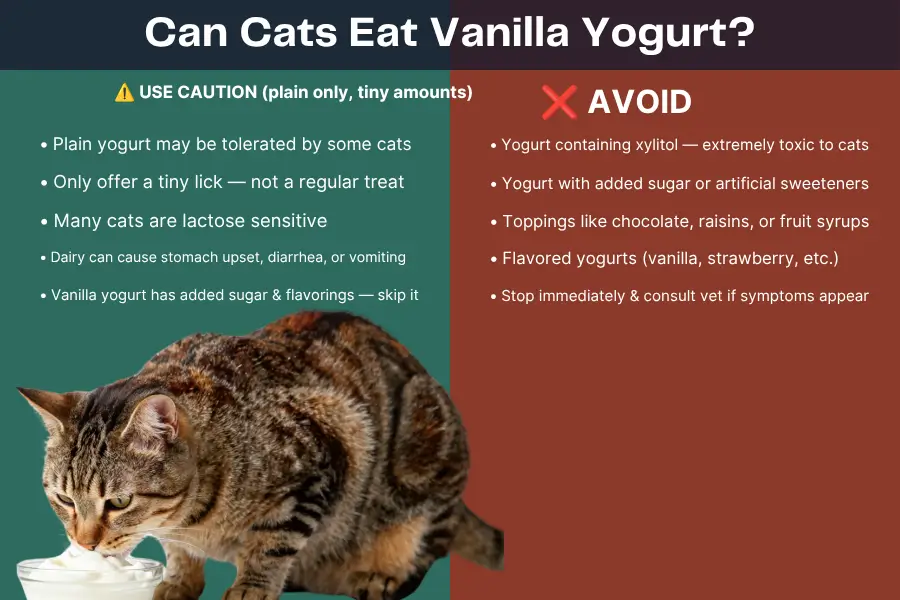 Can Cats Eat Vanilla Yogurt