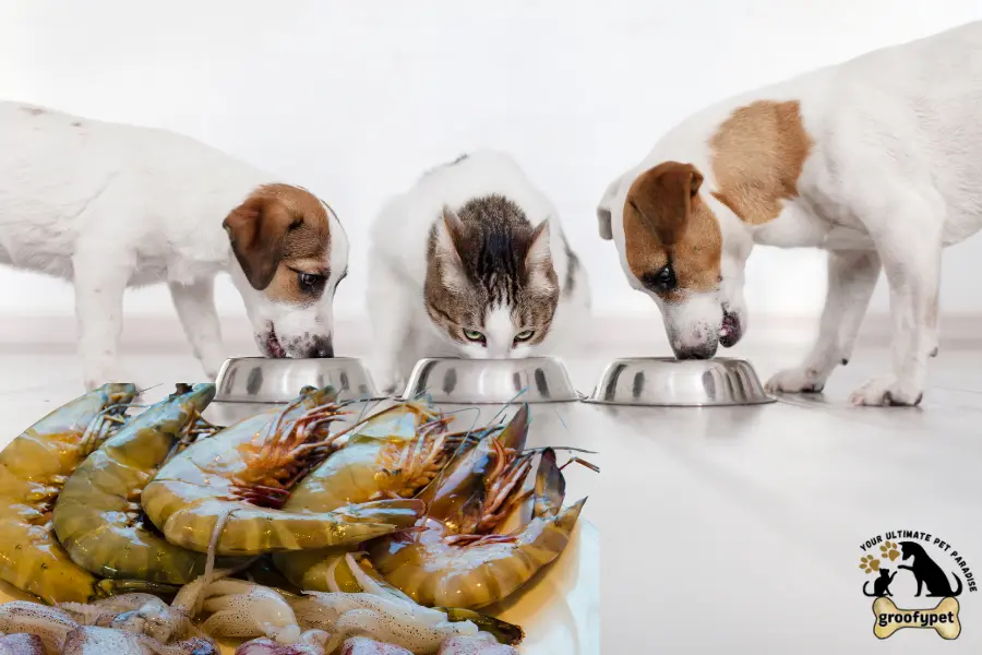 can cats eat raw squid